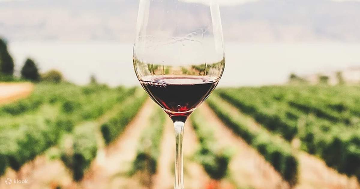 Yarra Valley Wine Tour from Melbourne Australia Klook Singapore